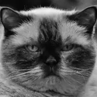 Help - Some help and documentation about the application